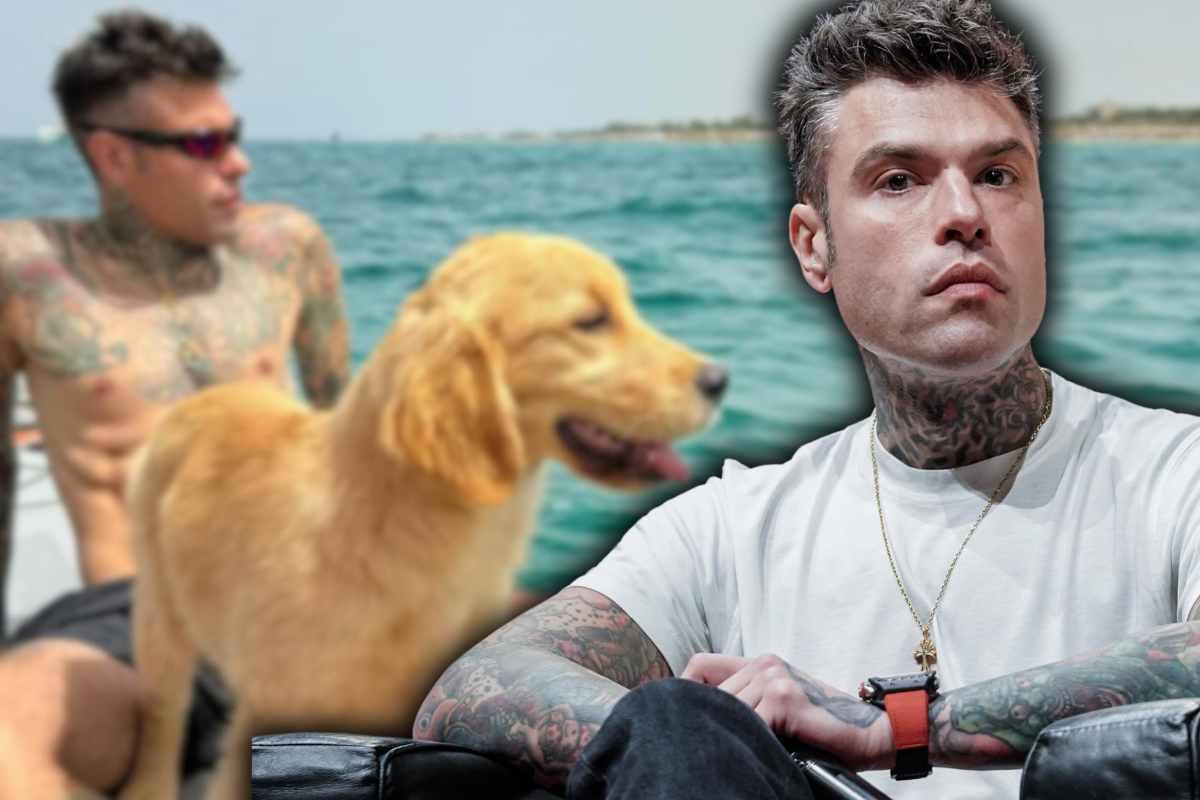 Il nuovo cane di Fedez